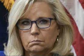 Liz Cheney Goes Bonkers! Plans to Overturn the People's Vote