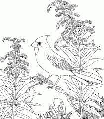 All you need is photoshop (or similar), a good photo, and a couple of minutes. Free Coloring Pages Of Nature Scene Nature Themed Coloring Sheets Coloring Home
