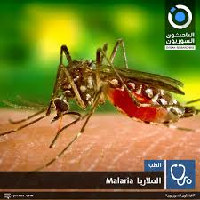 في الأساس ، مرض الملاريا هو مرض معدي يسببه طفيلي. Ø§ÙØ¨Ø§Ø­Ø«ÙÙ Ø§ÙØ³ÙØ±ÙÙÙ Ø§ÙÙÙØ§Ø±ÙØ§ Malaria