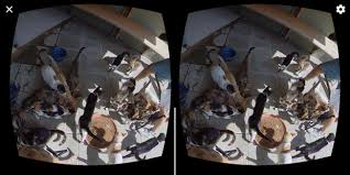 360 virtual reality videos for android on aptoide right now! Gizmovr Lite 360 Video Download