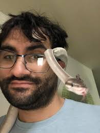 What to feed an 8-month-old ball python that refuses to eat frozen-thawed  food?