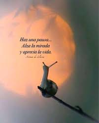 Pin By Galicia Buendia On Autoestima Inspirational Quotes Life Quotes Positive Quotes