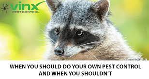 Hours may change under current circumstances When You Should Do Your Own Pest Control And When You Shouldn T