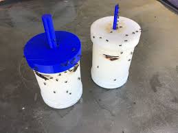 Lay out a jar lid on the top of the feeder. Native Stingless Bee Feeder Float 3d Print Model