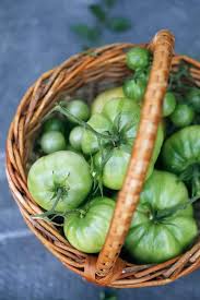 Homemade Zingy Green Tomato Salsa Recipe Green Tomato Salsa Green Tomatoes Tomato Salsa