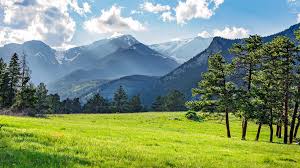 Image result for Dark Woodland Green 2002 Topkick