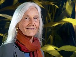 Monterey Bay Aquarium