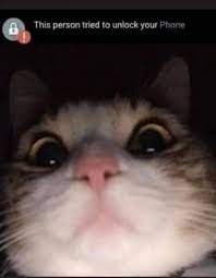 Below you will find the best cordless phones on amazon, each with unique features that benefit you as the user. Spellbound Cafe Pssssst We Are Reopening At 6 Pm For Dinner Service Please Come By And See Us Serving Til 10 Facebook