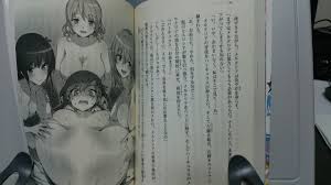 エロ過ぎるライトノベルは規制すべきなのか？ - posfie