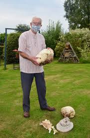 Maybe you would like to learn more about one of these? A La Decouverte Des Champignons Avec Claude Dupuis Pres De Londinieres Le Reveil De Neufchatel