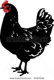 Black And White Hen Clipart Black Hen Clipart Clipartfest Chicken Illustration Animal Stencil Black And White Chickens