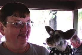 No Schnauzer Left Behind