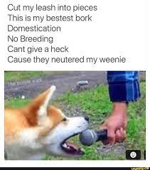 Cut My Leash Into Pieces This Is My Bestest Bork Domestication No Breeding Cant Give A Heck Cause They Neutered My Weenie