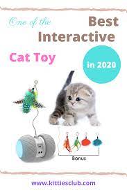 Best Interactive Cat Toy In 2020 Best Interactive Cat Toys Cat Toys Interactive Cat Toys