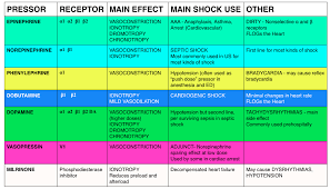 Effects Of Various Vasopressor Drugs On Receptors Nursing