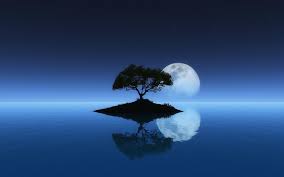 See more ideas about motivational quotes, quotes, inspirational quotes. Calm Backgrounds Calm Wallpapers Wallpaper Cave