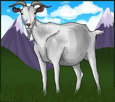In the lower part of the neck draw the collar and bell. How To Draw A Goat Step By Step Drawing Guide By Dawn Dragoart Com