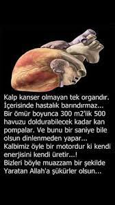 Allah I Sevmek Adli Kullanicinin Allah Herseyi Yoktan Yaratandir Adnan Oktar Panosundaki Pin