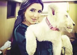 هذا الكورس مفيد لأصحاب المشروعات الناشئة والقائمين على بعض الأعمال التطوعية والخريجين الجدد الراغبين فى خوض مجال الموار البشرية كمهنة يسعوا من خلالها للدخول فى حياة مهنية مثمرة. Ø¨Ø¹Ø¯ ÙˆÙ‚Ù Ù…Ø­Ù…Ø¯ Ø³Ø§Ù…ÙŠ Ø£Ø³ØªØ§Ø° Ø¬Ø§Ù…Ø¹ÙŠ Ø­Ø§Ø³Ø³ Ø§Ù„Ù…Ø³Ù„Ø³Ù„ ÙƒØ§Ù† Ù…Ù‡Ø± Ø¬Ù„ÙŠÙ„Ø© Ø§Ù„Ù…ØµØ±ÙŠ Ø§Ù„ÙŠÙˆÙ…