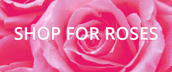 To make your order extra special, our florists can also deliver chocolates, wine or a teddy bear along with your flowers. Wholesale Flowers Florist Supplies Uk