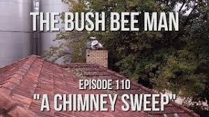 Check spelling or type a new query. How To Get Rid Of Bees In The Chimney For Good Bugwiz