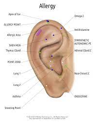 Allergies And Ears Acupuncture Technology News Ear Reflexology Acupressure Treatment Acupuncture