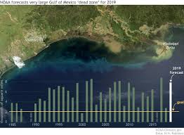 Wet Spring Linked To Forecast For Big Gulf Of Mexico Dead