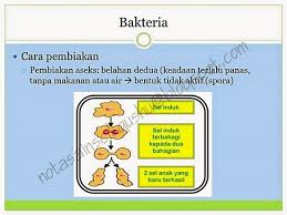 Nota sains bab 5 tingkatan 2. Nota Sains Tingkatan 5 Bab 1 Nota Cikgu Shu In 2020 Dokterandalan