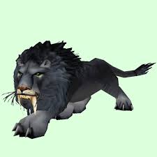 There are no exotic hunter pets, as there are in bfa for beast mastery some pets know a skill or two already when you tame them, but most pets need to be trained to learn additional skills. Black Lion Pet Look Petopia Hunter Pets In The World Of Warcraft