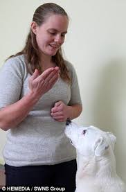 Either way, this sign looks like you are calling a dog to come to you. Naughty Deaf Dog Who Couldn T Be Trained Is Finally Brought To Heel Using Sign Language Daily Mail Online
