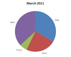 My Life As A Pie Chart My Life As A Pie Chart In The