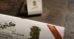 سعر الذهب في مصر وعالميًا صباح اليوم الثلاثاء 10 أغسطس 2021. Ù…Ù†Ø­Ø© Ø¯Ø±Ø§Ø³ÙŠØ© Ø§Ù„Ø¨Ø§Ù†Ø¬Ùˆ Ø¸Ù‡Ø± Ø¸Ù‡Ø± Ø¸Ù‡Ø± Ø¬Ø²Ø¡ Ù…ØµØ¯Ø± Ø³Ø¬Ø§Ø¦Ø± Ù…Ø§Ù†Ø´Ø³ØªØ± Setiabersamaagri Com