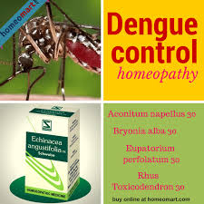 Dengue fever (df) and dengue hemorrhagic fever (dhf) are reemerging diseases that are endemic in the tropical world. Top Homeopathy Medicines List For Dengue Prevention Treatment
