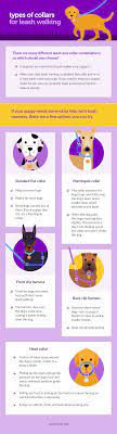 Is it okay to leave a 2 month old puppy in a crate for 8 hours a day, 3 times a week? How To Leash Train Your Puppy