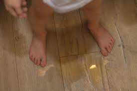 kediler neden ayak ucunda uyurlar evcil hayvan blog