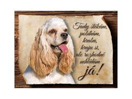 Image result for americký kokršpaněl