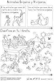 Pin De Vanesa Herrera En Ciencias Animales Oviparos Y Viviparos Animales Viviparos Animales Oviparos