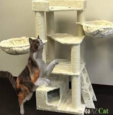 We understand that it is can be quite tricky to find the best cat trees for your furry friend because you only want the finest product for them. Pin On Best Cat Trees
