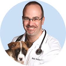 our-team-who-we-are-mark-verdino