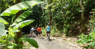 Lorong halus is a road in pasir ris, singapore. 4 Scenic Cycling Loops To Check Out In Singapore Sg Magazine Online