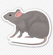 Rat Rat Emoji Sticker Png Image With Transparent Background Toppng More graphic images about rat free download for commercial usable,please visit pikbest.com. rat rat emoji sticker png image with