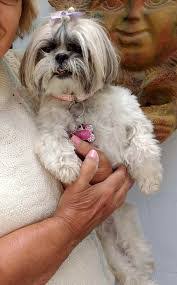 Angela Frederickson's Instagram, Twitter & Facebook