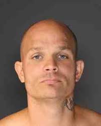 Nyack Free Press: August 2015