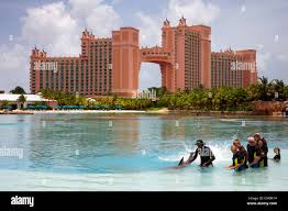 Dolphin Cay, Atlantis | Nassau Paradise Island