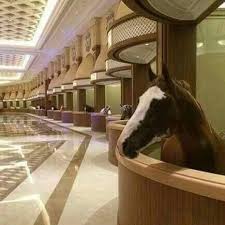 Ecurie Au Japon Je Ne Suis Pas Sure Que Ce Luxe Fait Le Bonheur De Ces Chevaux Surtout Le Marbre Ecuries De Luxe Beaux Chevaux Animaux Domestiques