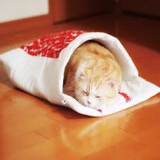 [Imagen: images?q=tbn:ANd9GcTq8TPKTjHkwPTaCOXHI3k...zos438LIKj]