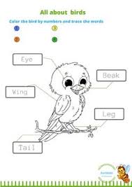 All About Birds Interactive Worksheet Sutiable For Early Learning Ande Preschooler It Contain Differant Fun Lea Preschool Projects Fun Learning Early Learning