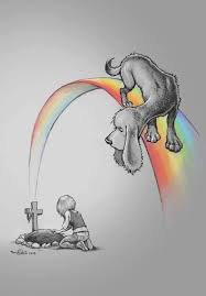 This Picture Really Got To Me Even When Our Pets Pass Away They Re Never Really Gone C We Love Animals Miss My Dog Pet Remembrance Pet Grief