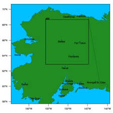 Image result for Habenaria gonatosiphon