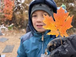 Simple Suggestions for Kids in the Field